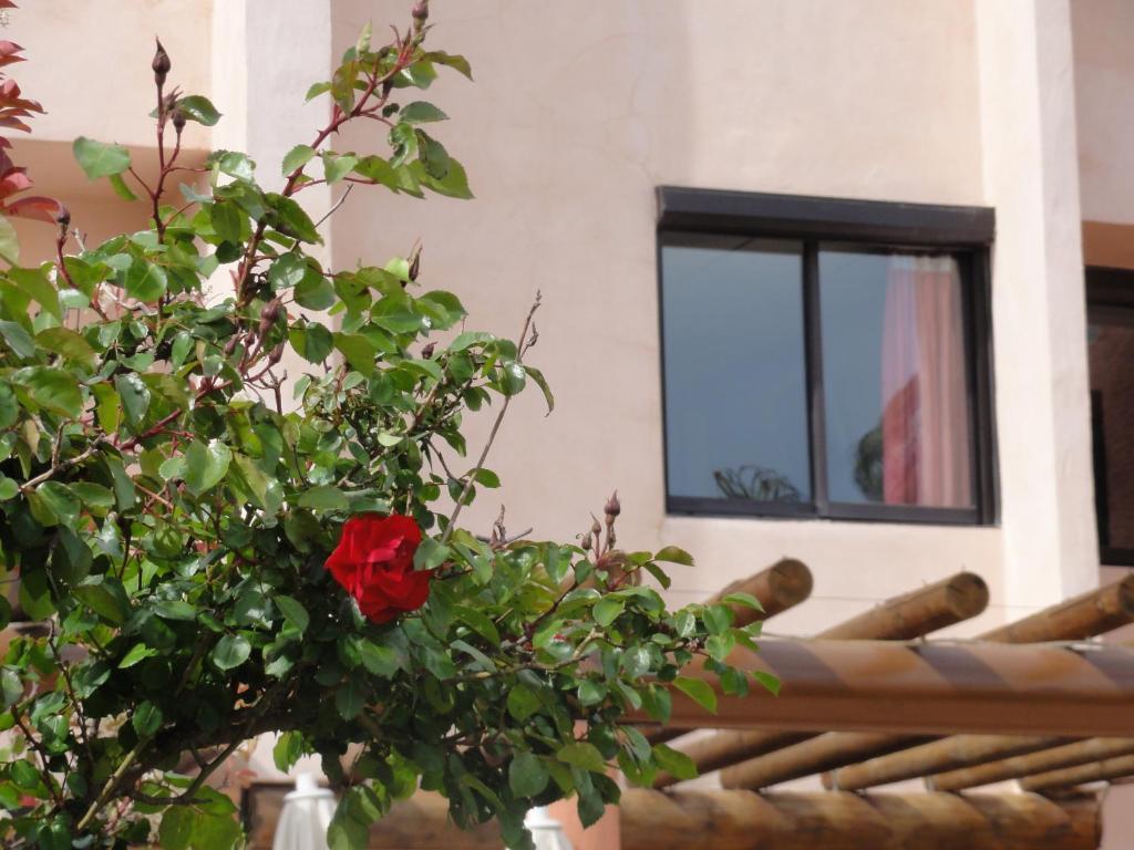 Hotel L'Hacienda Мартиг Екстериор снимка